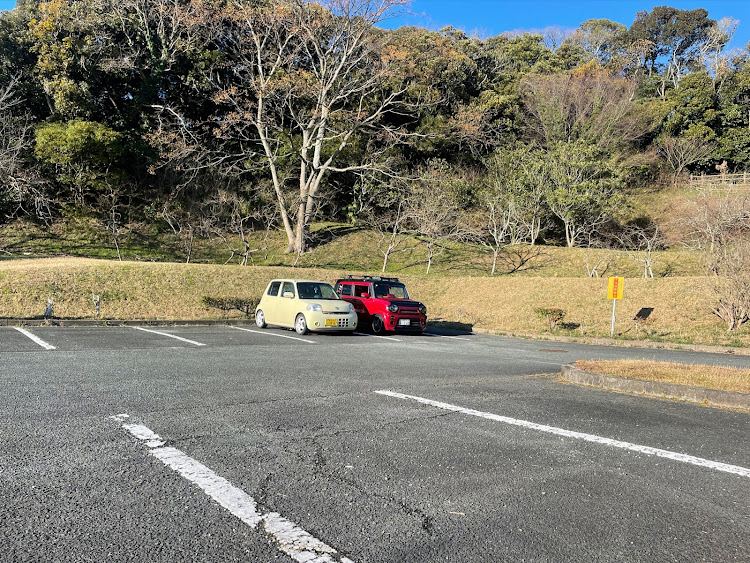 の投稿画像11枚目