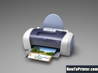 Reset Epson PX-V600 printer by Resetter program