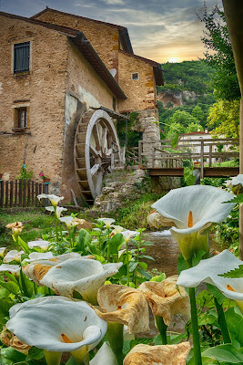 Le primavere del mulino di massimo_lazzarin