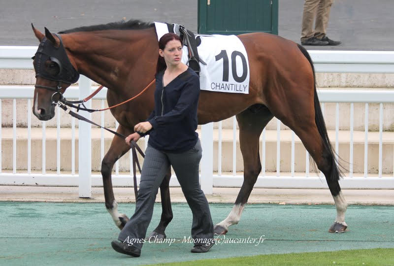 Photos Chantilly 12-07-2015 IMG_2905