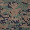 파일:external/upload.wikimedia.org/100px-MARPAT_woodland_pattern.jpg