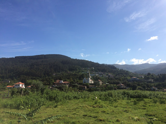 Camino de Santiago Portugues/Португальский пусть Святого Иакова, май 2015 (Порто-Сантьяго)