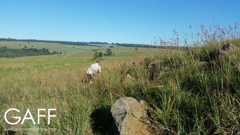 hunting-highveld-africa-dullstroom-blesbuck-blackwildebeest (7).jpg