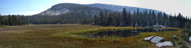 large pond in the grass