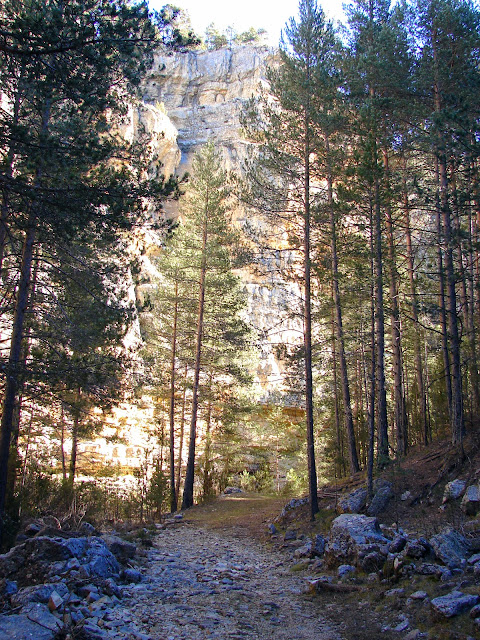 Senderismo - Valdecanales - Barranco de Las Truchas