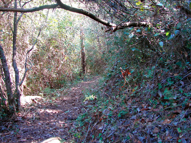 Barranco de Les Santes