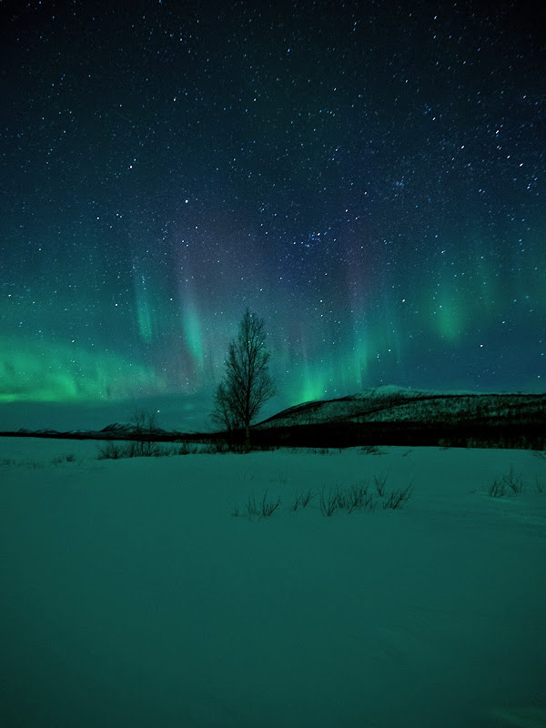 Escapada boreal a Noruega (2015) - Blogs de Noruega - A por las auroras! (33)