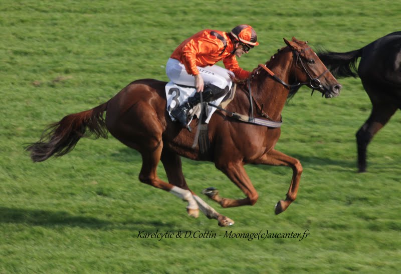 Photos Auteuil 11-10-2015 IMG_5381