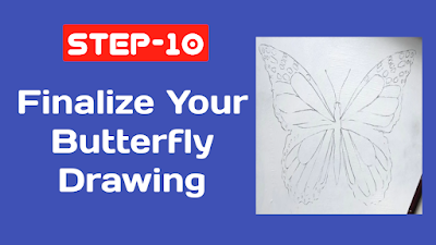 drawing a butterfly