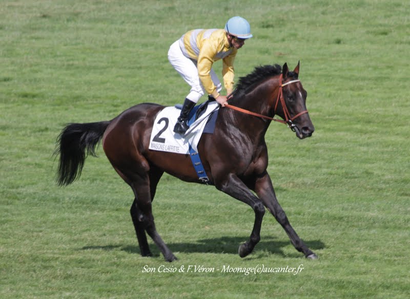 Photos Maisons-Laffitte 5-07-2015 IMG_2475