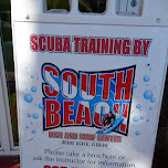 south beach dive & suft center in Key Largo, United States 