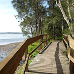 Boardwalk alongside Lake Macquarie (389768)