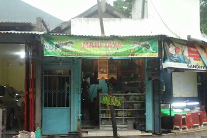 Ternak Kroto Kediri Jawa Timur