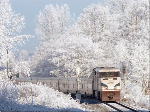 Photographic Train Trip in Winter (3).jpg