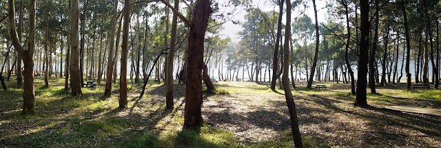 Playa de Rodiles