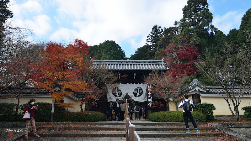 京都光明寺