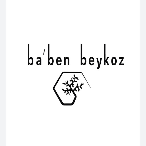 Baben Beykoz logo