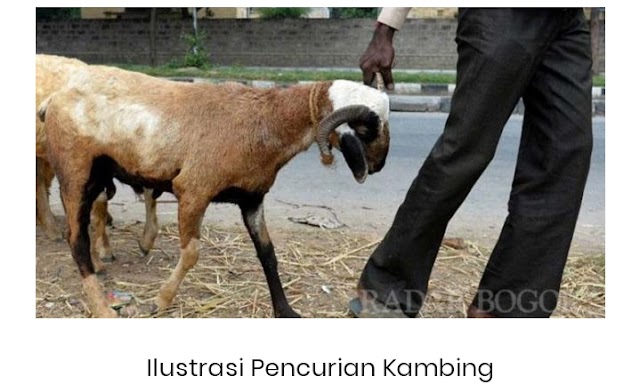 Esto Si Maling Kambing Akhirnya di Ciduk Polsek Namorambe Deli Serdang