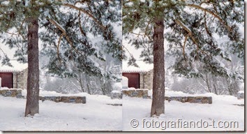 PhotoExif - Camera: Kodak Stereo, Film: Color, Comment: