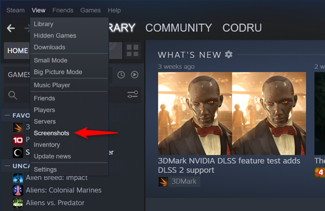 La voce Screenshot dal menu Visualizza di Steam