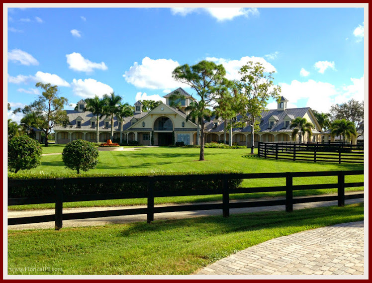 Wellington Fl Palm Beach Point Homes for Sale Florida IPI International Properties and Investment