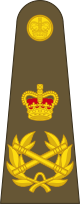 파일:external/upload.wikimedia.org/80px-British_Army_OF-10.svg.png