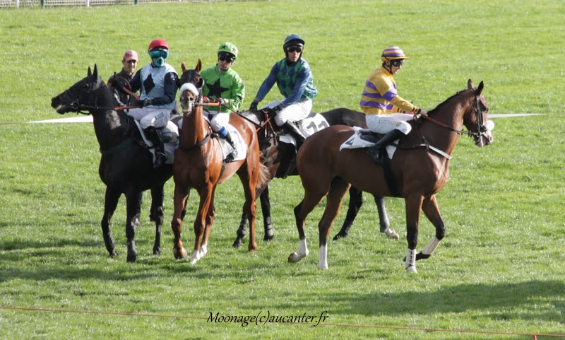 Photos Auteuil 26-09-2015 - Page 2 IMG_4302