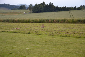 DSC_4929.JPG