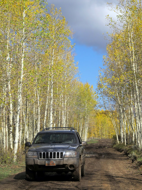 On the road near McCadden Hollow