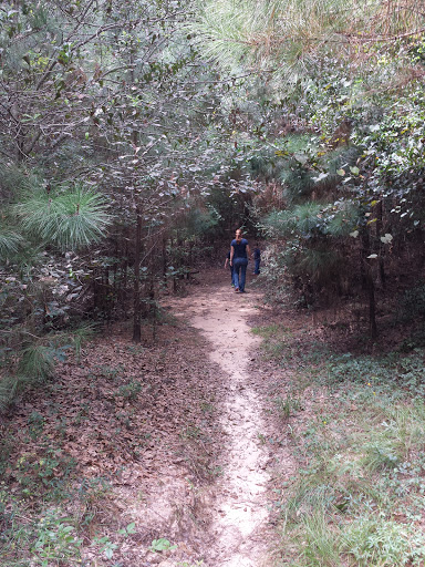 Nature Preserve «Little Cypress Creek Preserve», reviews and photos, Telge Rd & Spring Cypress Rd, Cypress, TX 77429, USA