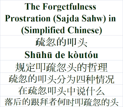 The Forgetfulness Prostration (Sajda Sahw) in Simplified Chinese Language 疏忽的叩头 Shūhū de kòutóu