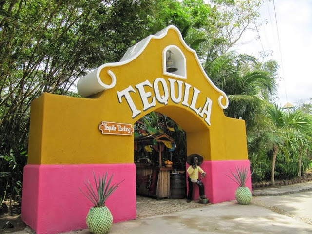 COZUMEL - DISNEYWORLD, PLAYAS DE FLORIDA Y NAVEGANDO POR EL CARIBE (4)