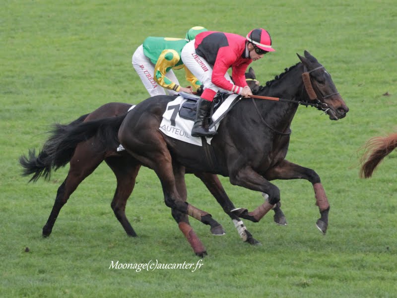 Photos Auteuil 7-11-2015 (48h de l'obstacle) IMG_6657