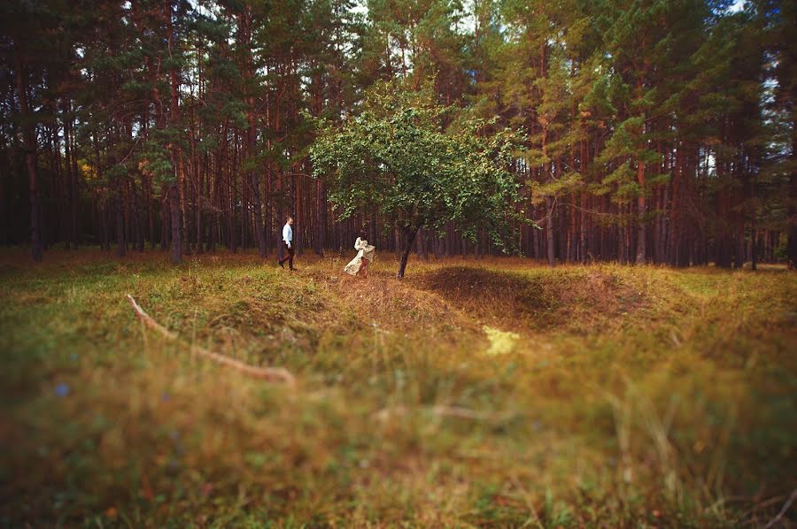 Düğün fotoğrafçısı Aleksandra Mukhotina (muhotina). 12 Aralık 2015 fotoları