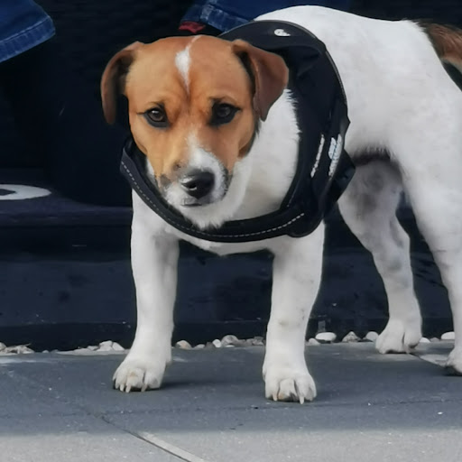 Charlotte Elizabeth Karoli Nielsen photo