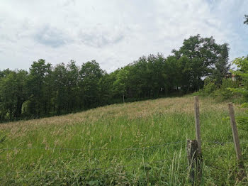 terrain à Malemort-sur-Corrèze (19)