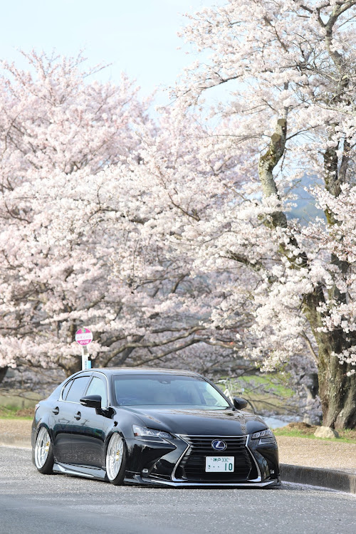 GSのNANDOIYA・サクラと愛車に関するカスタム事例の投稿画像1枚目