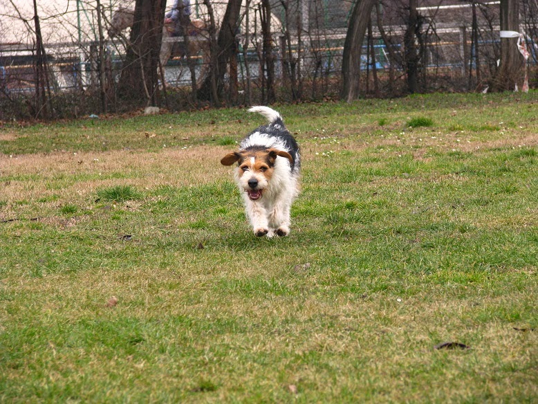 IMG_1783.JPG