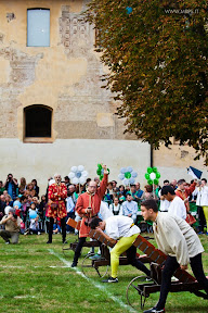 Vigevano Palio delle Contrade 2014