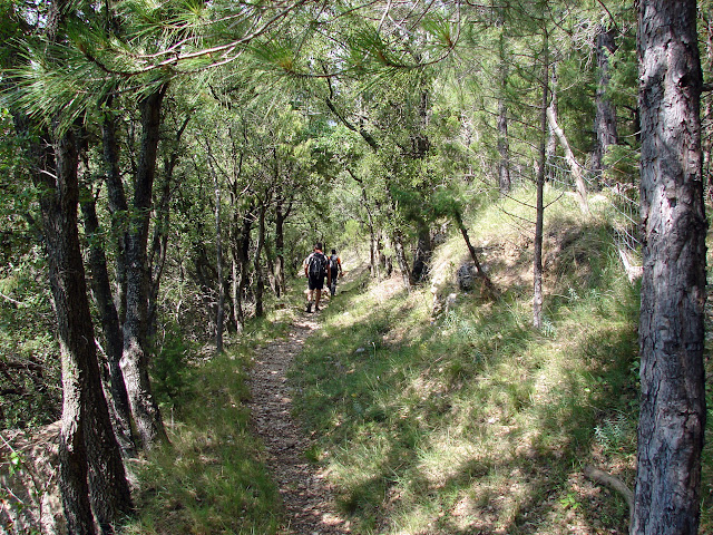 Senderismo - Vallibona - Turmell - Santa Àgueda