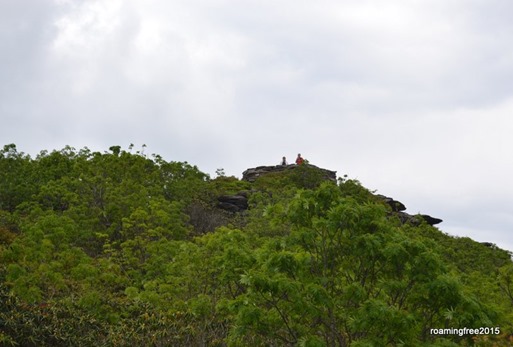 They made it to the top!