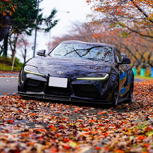 スープラ DB02