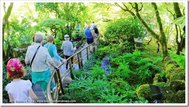 150702_Victoria_ButchartGardens_JapaneseGarden_pano