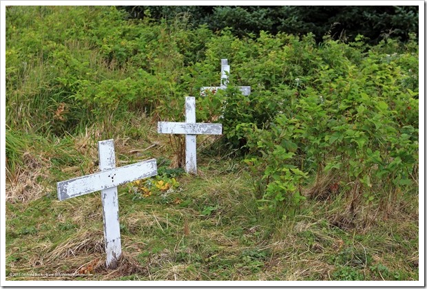 150907_Adak_pet_cemetery2_WM