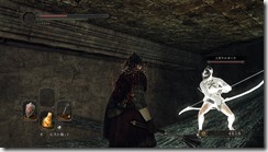 DarkSoulsII 2017-01-02 15-34-13-84