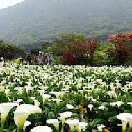 【竹子湖】苗榜花園餐廳