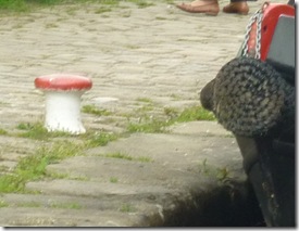 11 toadstool bollards