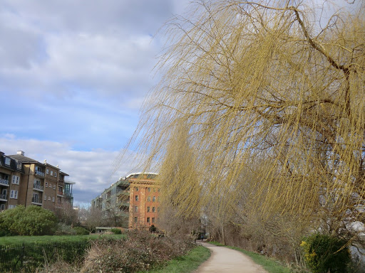 CIMG2803 The Thames Path near Harrod's Depository