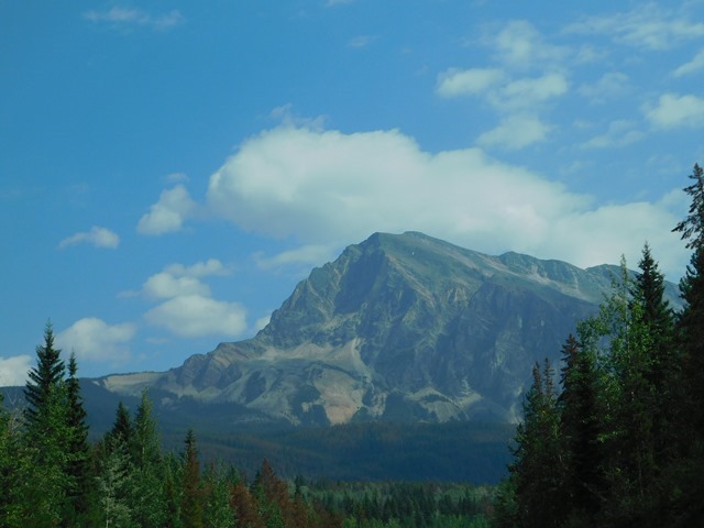 C059_CAN AL Jasper NP_2018-08-13_DSCN2383