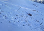 Avalanche Haute Maurienne, secteur La Norma, Secteur des Crêtes - Photo 5 - © Duclos Alain